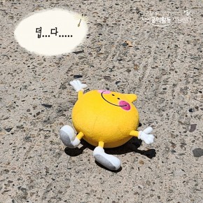 공모 활동 보기