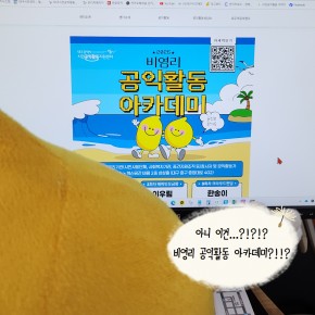 공모 활동 보기