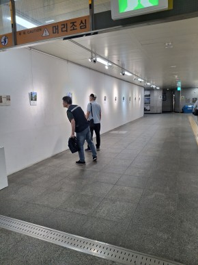 공모 활동 보기