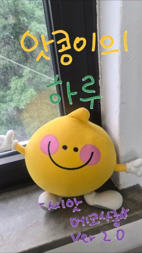 공모 활동 보기